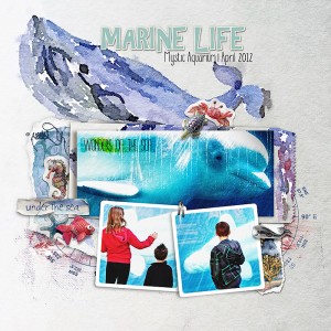 Marine life