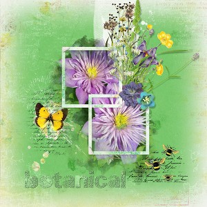 botanical