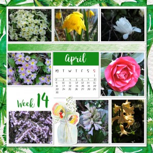 18_week14c