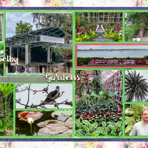 Marie Selby Botanical Garden1