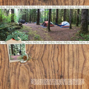 Swift Reservoir Camping