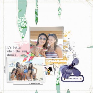 Lynn Grieveson July Challenge