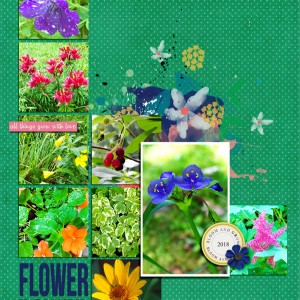 2018-07_July-TLP_Photography_web