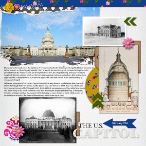 DC Trip page 13