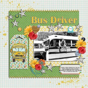 bus driver