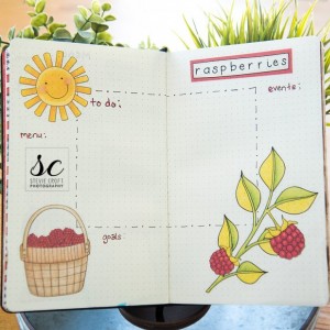 Bujo: Raspberry Season