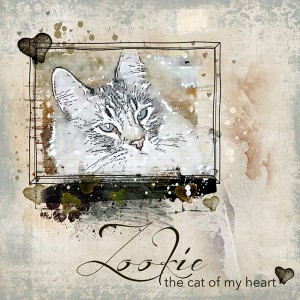 07-18-Wk2_Zookie--The cat of my heart