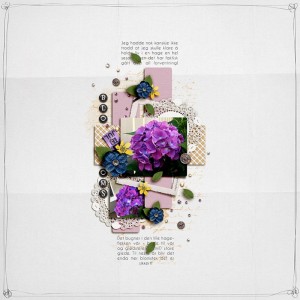Blooms