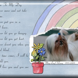A-Promise-To-My-Dog