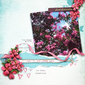 SweetSummer