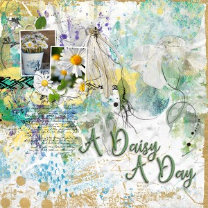 A Daisy A Day