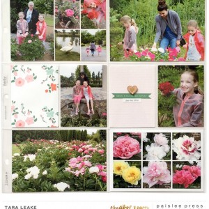 Peonies Right