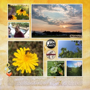 Nature in July