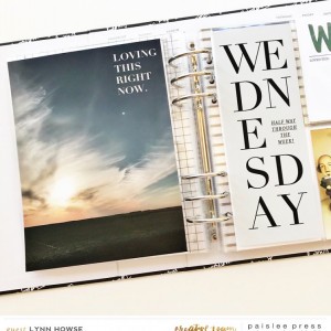 Week in the Life - Wednesday Insert p.1