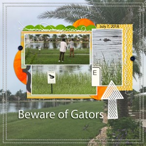 Beware of the Gators