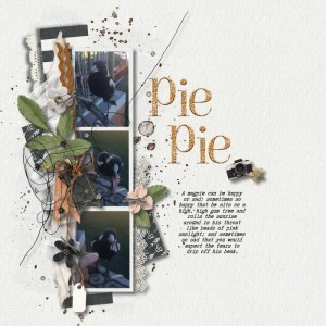 Pie-pie