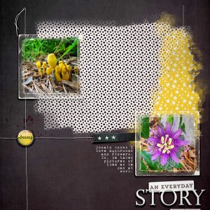 EverydayStory
