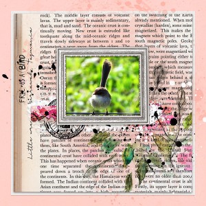 FREE AS A BIRD