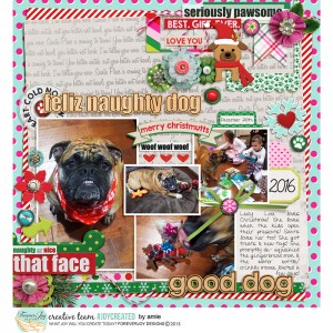 Feliz Naughty Dog