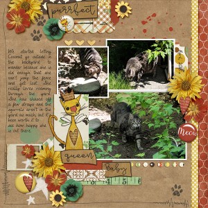 2018-04_fdd-FourSquare2DU_etcdan-Meowster-Barksley_web