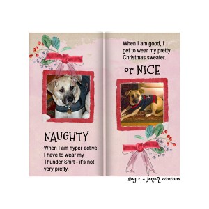 Christmas in July - Day 2