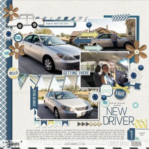 Robin_Road Trip TLP