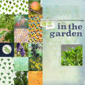 Garden Fruits