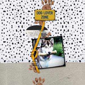 Dog Lover Zone