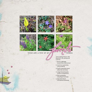 Jul18 Inspiration Challenge