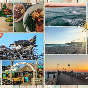 Sharky's on the Pier