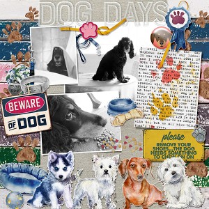 Dog days