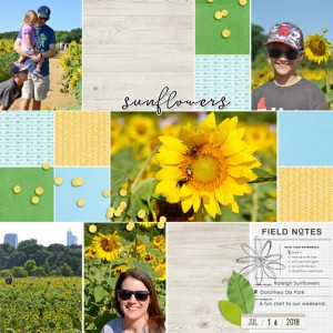 Raleigh Sunflowers