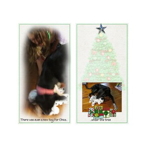 Day 7 - Under the Tree - Gift for Chica