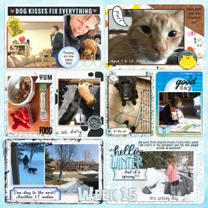 2018-Week-15