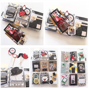 July 2018 Lilypad Letter to Rikki (Theme: Cameras/Photography)