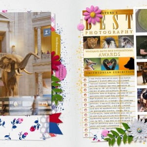 DC Trip pages 35, 36