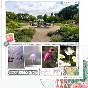Olbrich Gardens Photog Challenge