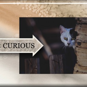 Be-Curious