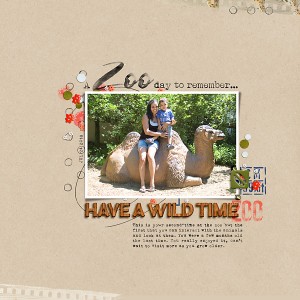 A Zoo Day