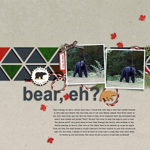 Bear, eh?