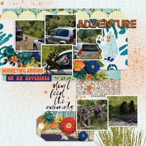 2004-African-Lion-Safari-Monkeys-Cars-copy