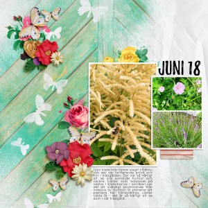 July-18 Photography challenge