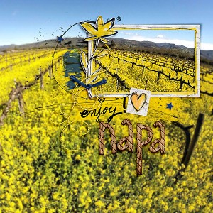Enjoy Napa