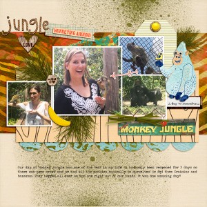 Monkey jungle