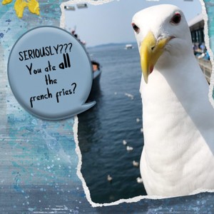 07-18-Wk3_Seagull
