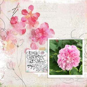 May Flowers