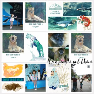 taronga zoo pocket page 2