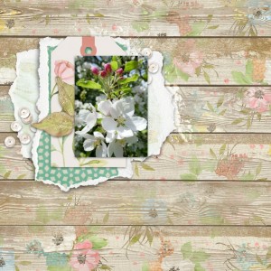 May Flowers