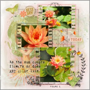 Inspiration Challenge-August-Choose Your Words-Creative Soul