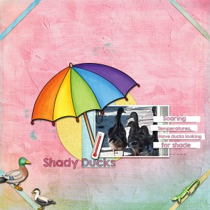 _Aug18-Blog-Temp-shady-duck